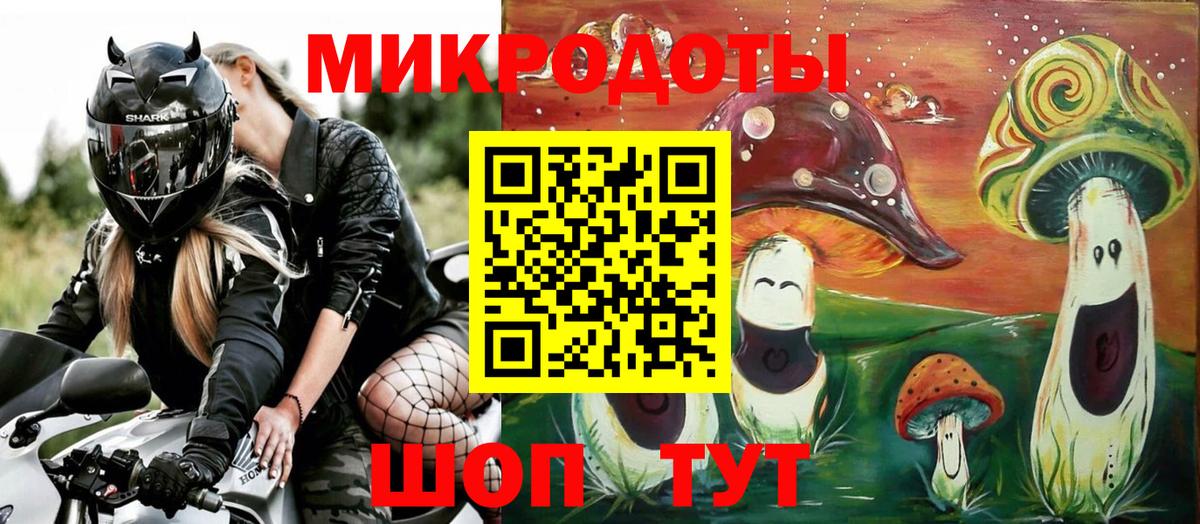 Псилоцибиновые грибы мицелий Камышин