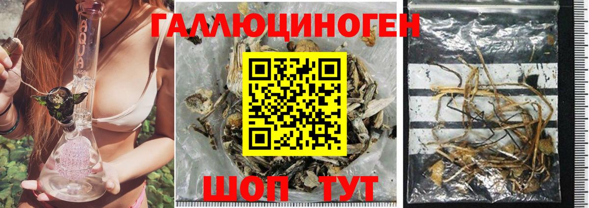 Камышин  Галлюциногенные грибы Magic Shrooms  Вход с VPN 